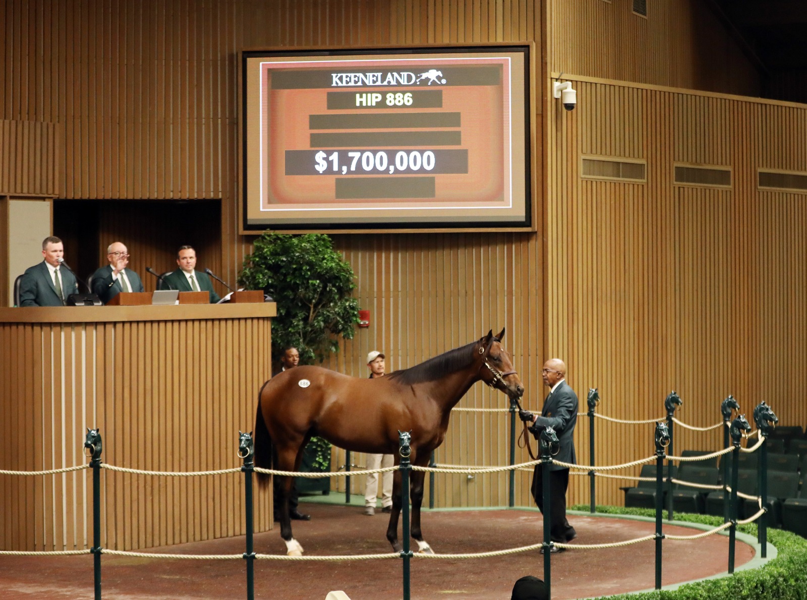 55 potros milionários em três dias colocam Keeneland a dois animais de quebrar recorde histórico