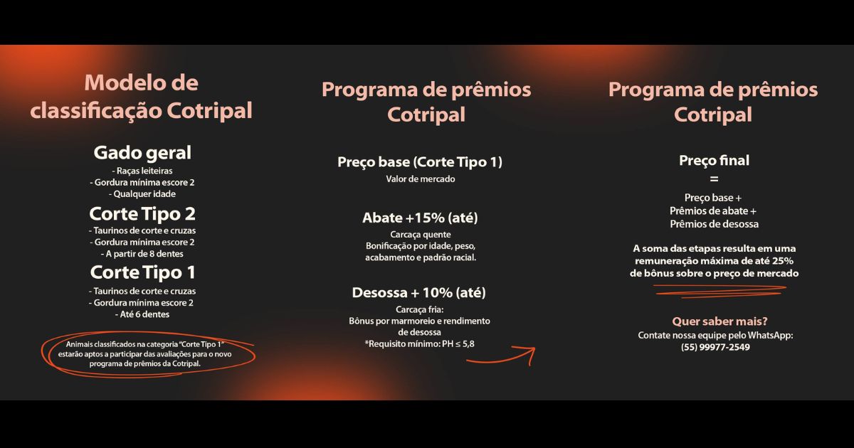 modelo de abate de bovinos da cotripal