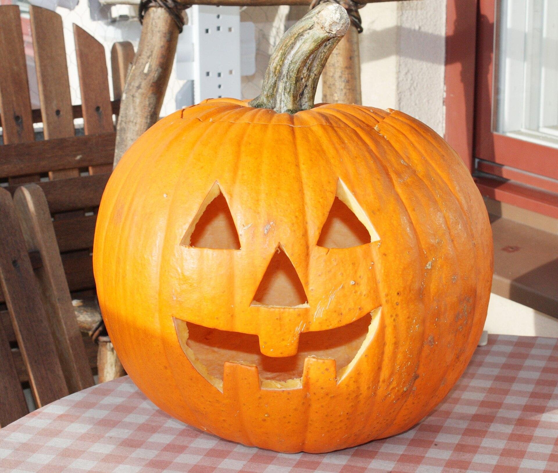 Por que as abóboras se tornaram um dos principais símbolos do Halloween?