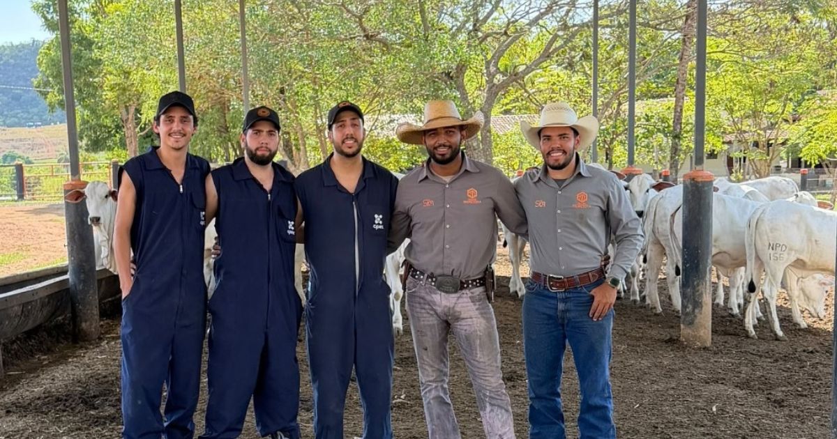 CPEX Embriões- trabalho técnico por trás da marca