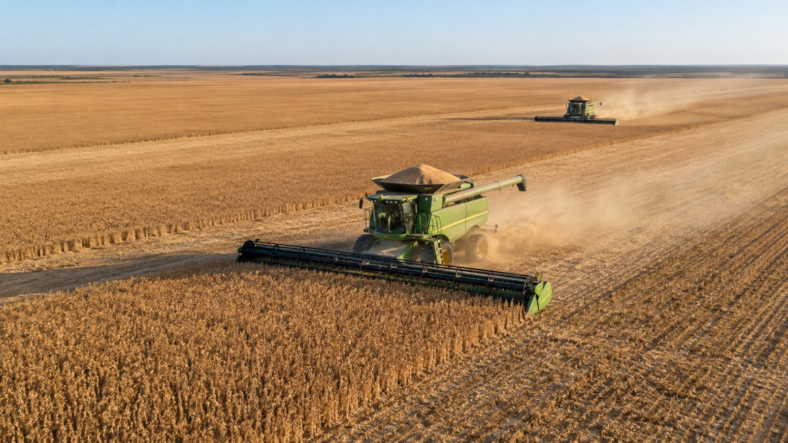 Cidade de Mato Grosso produz R$ 7,87 bilhões e é a quarta maior potência agrícola do Brasil