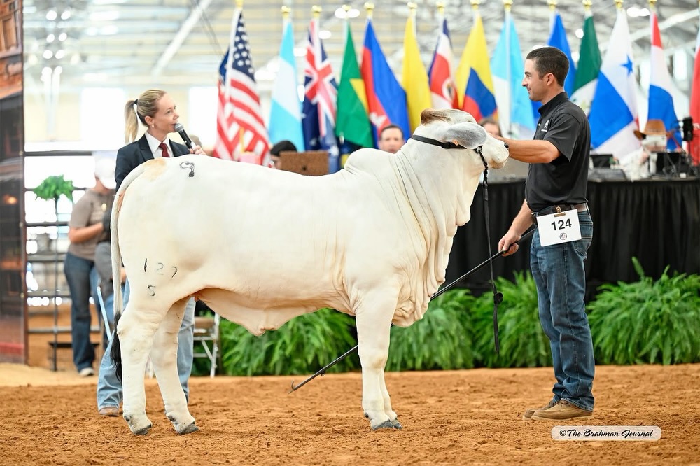 Lucyana Queiroz - da Q2 Assessoria Pecuaria - American Cattle World Expo