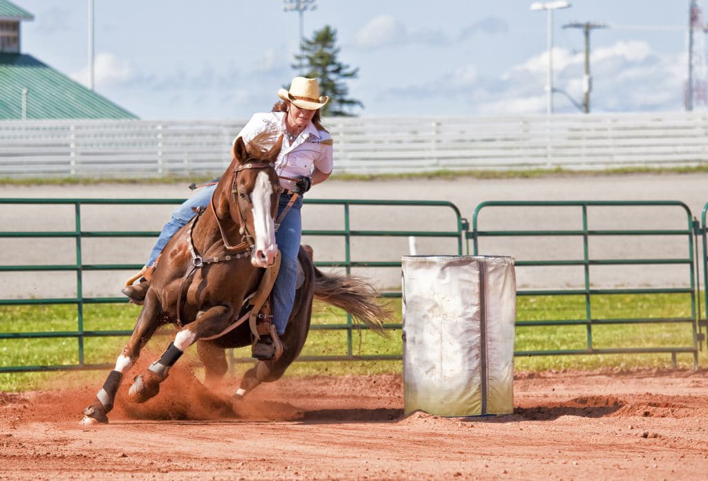 CNA propõe regras unificadas de bem-estar para rodeios e competições equestres