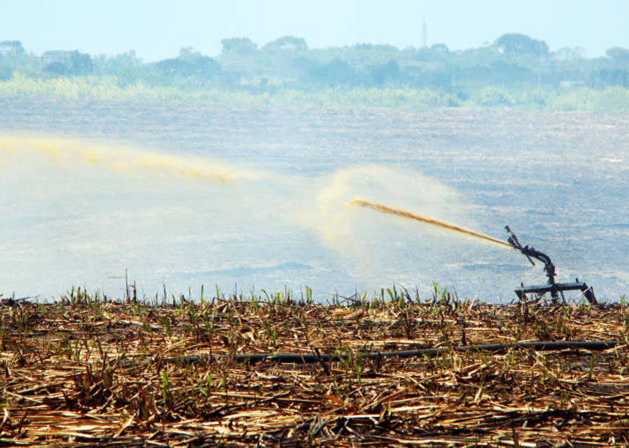 Estudo mapeia áreas no Brasil mais vulneráveis à poluição difusa gerada pela agropecuária