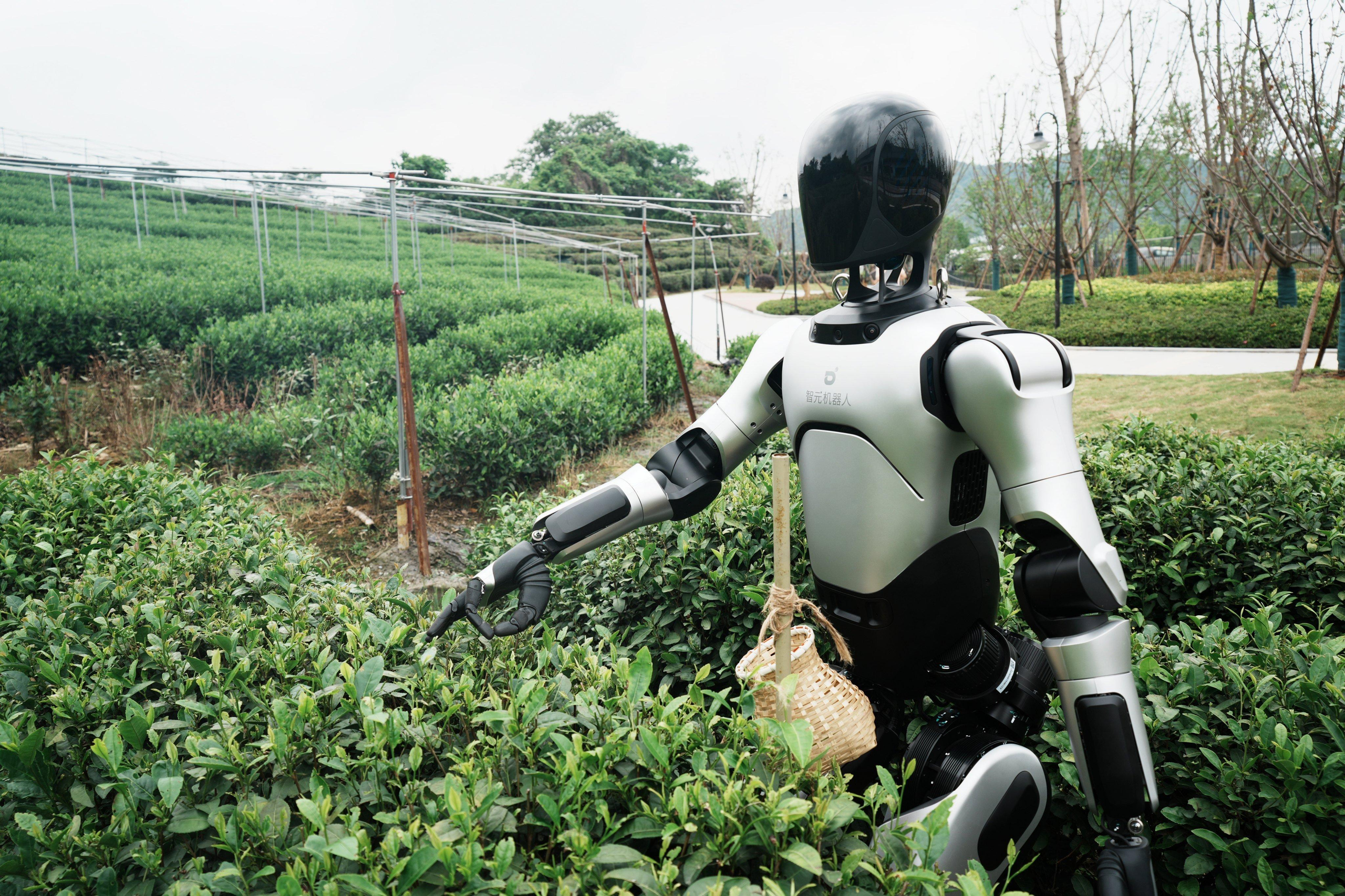 Japão coloca robô humanoide para trabalhar em lavoura de quiabo; veja até onde a tecnologia chegou