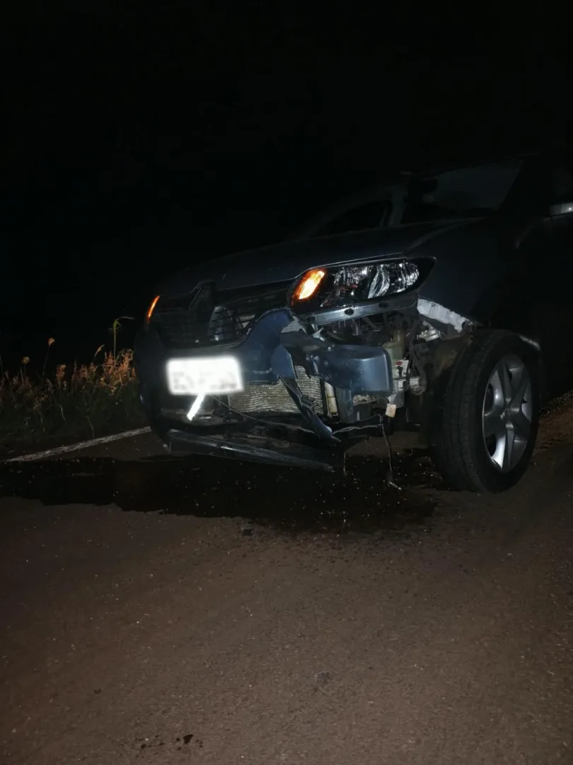 VÍDEO: criminosos invadem granja, levam 25 porcos e animais caem na fuga