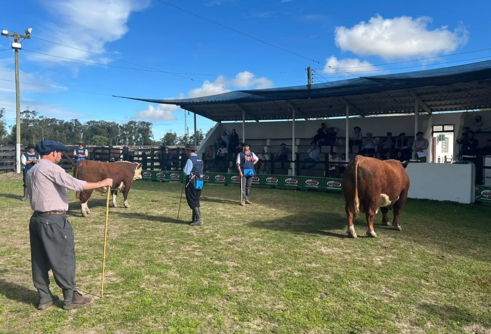 Expofeira de Santa Vitória do Palmar define campeões Hereford nos julgamentos de rústicos