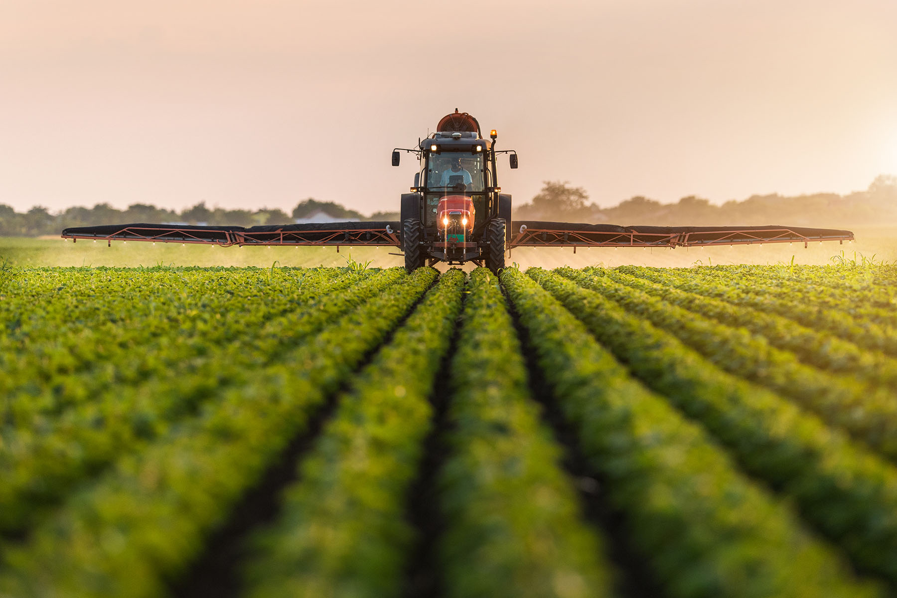 Uso de adjuvantes agrícolas reduz perdas e melhora eficiência de defensivos 
