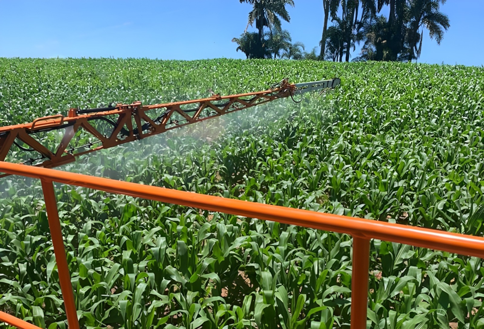 Bioinsumos entram no debate sobre formação de novos profissionais do agro