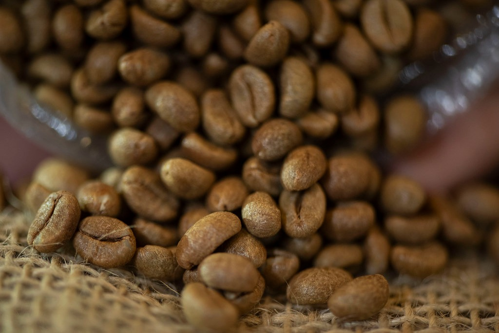 Do resíduo à renda, SIC 2026 destaca novas oportunidades de negócio na cafeicultura