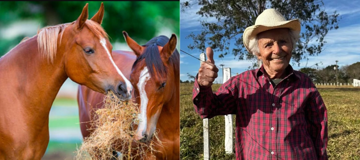 Aos 103 anos, produtor ainda dirige, anda a cavalo e acompanha duas fazendas em MS