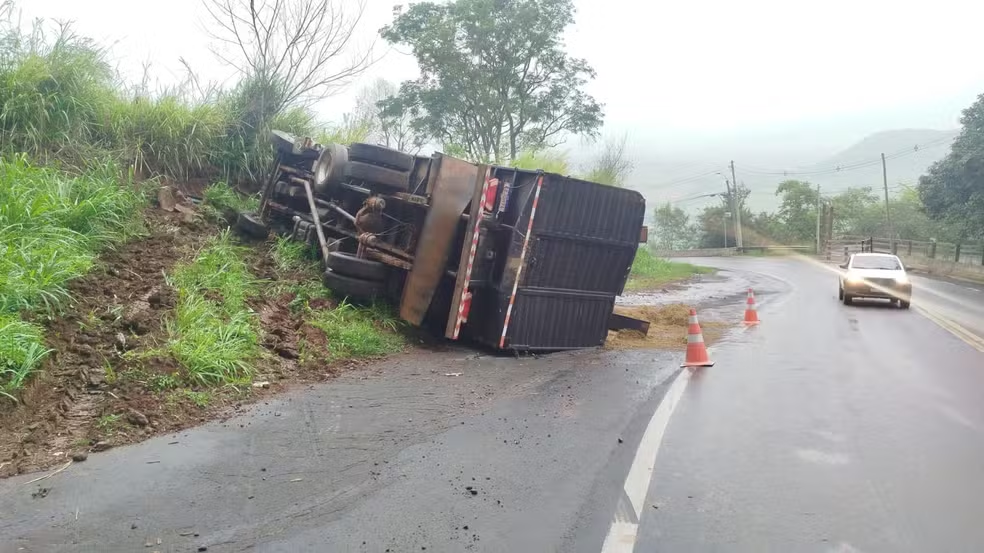 Caminhão com 10 cavalos tomba em serra; bombeiros cortam estrutura para resgatar animais