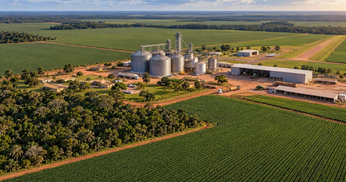 megafazenda producao de graos e pecuaria