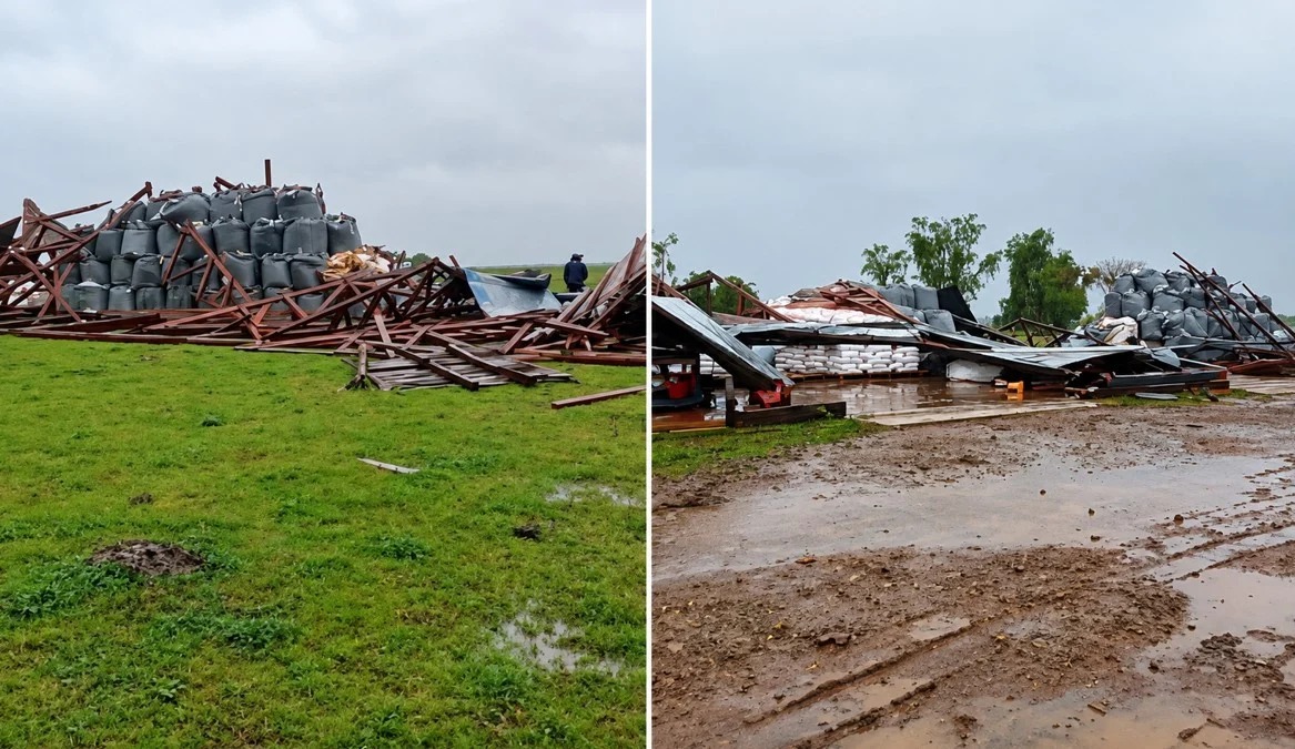 Temporal atinge a Cabanha Azul, no Rio Grande do Sul, destrói galpões, esmaga dois carros e molha insumos. Ninguém ficou ferido.